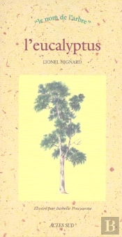 L'Eucalyptus
