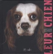 Leur Chien