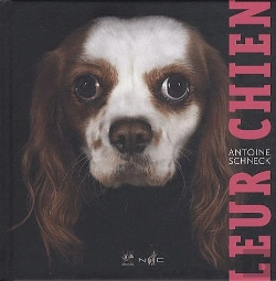 Bertrand.pt - Leur Chien