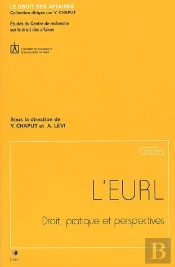 L'Eurl : Droit Pratique Et Perspectives