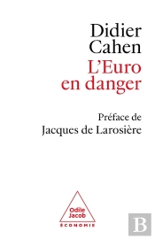 L'Euro En Danger