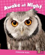 Level 2: Awake At Night Clil