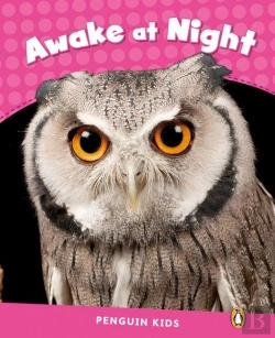 Bertrand.pt - Level 2: Awake At Night Clil