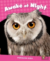 Level 2: Awake At Night Clil