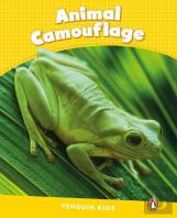 Level 6: Animal Camouflage Clil