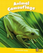 Level 6: Animal Camouflage Clil
