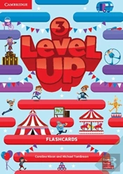 Level Up Level 3 Flashcards