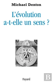 L'Evolution A-T'Elle Un Sens