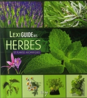Lexiguide Des Herbes Et Plantes Aromatiques