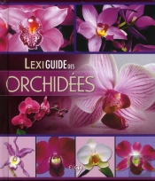 Lexiguide Des Orchidees