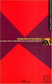 L'Expertise En Pratique ; Les Risques Lies A La Vache Folle Et Aux Rayonnements Ionisants
