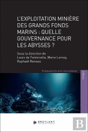 L'Exploitation Minière Des Grands Fonds Marins : Quelle Gouvernance Pour Les Abysses ?