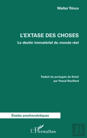 Lextase Des Choses - Le Destin Immateriel Du Monde Reel