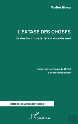 Bertrand.pt - Lextase Des Choses - Le Destin Immateriel Du Monde Reel