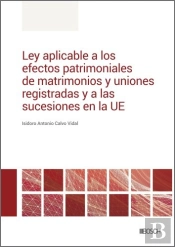 Ley Aplicable A Los Efectos Patrimoniales De Matrimonios Y Uniones Registradas Y