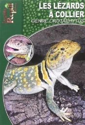 Lézards À Collier - Le Genre Crotaphytus