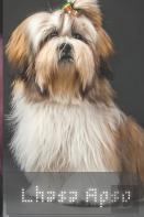Lhasa Apso