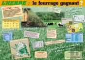 L'Herbe, Le Fourrage Gagnant ?