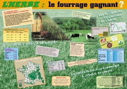 Bertrand.pt - L'Herbe, Le Fourrage Gagnant ?