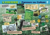 L'Herbe, Parcours Ou Culture ?