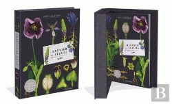 Bertrand.pt - L'Herbier Des Fleurs Sauvages