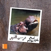L'Hippopotame