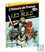 L'Histoire De France En Bd Pour Les Nuls Tome 1 ; Les Gaulois