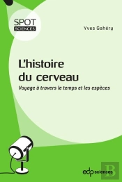 L'Histoire Du Cerveau ; Voyage À Travers Le Temps Et Les Espèces