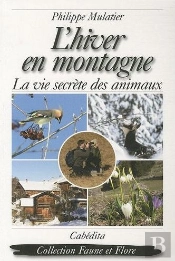 L'Hiver En Montagne
