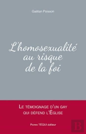 L'Homosexualité Au Risque De La Foi ; Le Témoignage D'Un Gay Qui Défend L'Eglise