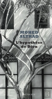 L'Hypothèse De Dieu