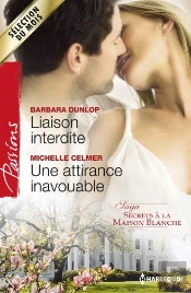 Liaison Interdite - Une Attirance Inavouable