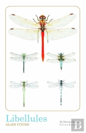 Libellules