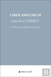 Liber Amicorum Jean-Yves Cherot : Le Droit Entre Théories Et Pratique