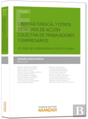 Libertad Sindical Y Otros Derechos De Acción Colectiva De Trabajadores Y Empresarios
