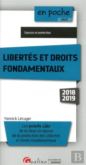 Libertés Et Droits Fondamentaux ; Points Clés De La Mise En Oeuvre De La Protection Des Libertés Et Droits Fondamentaux (Édition 2018/2019)