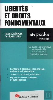 Libertés Et Droits Fondamentaux : Sources Et Protection Des Libertés Et Droits Fondamentaux (5e Édition)