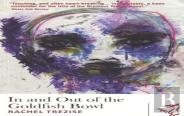 Library Of Wales: In And Out Of The Goldfish Bowl