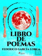 Libro De Poemas
