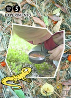 Bertrand.pt - Libro Experimento 5 Anos. Fervellos  