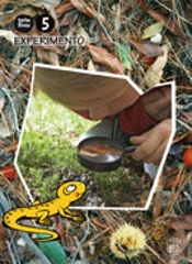 Libro Experimento 5 Años. Torbellinos