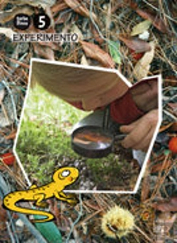 Bertrand.pt - Libro Experimento 5 Años. Torbellinos