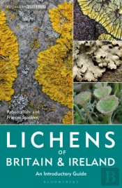 Lichens Of Britain And Ireland