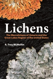 Lichens