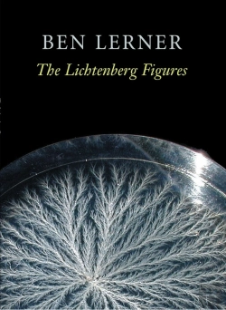 Bertrand.pt - Lichtenberg Figures