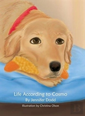 Life According To Cosmo