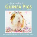 Life According To Guinea Pigs