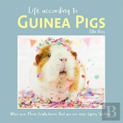 Life According To Guinea Pigs