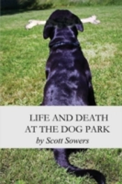 Life And Death At The Dog Park