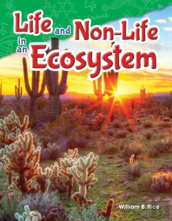 Bertrand.pt - Life And Non-Life In An Ecosystem